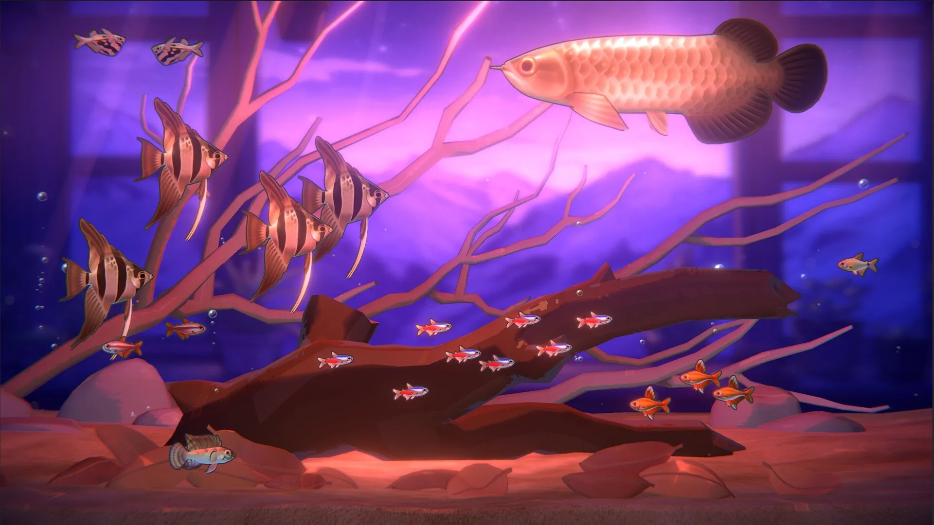 With Me: Diverse fish swim around driftwood in a serene aquarium setting with purple lighting.
