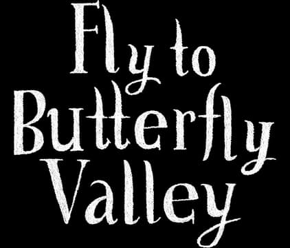 Fly to Butterfly Valley: Curved cursive wordmark with small butterfly accents and glow.