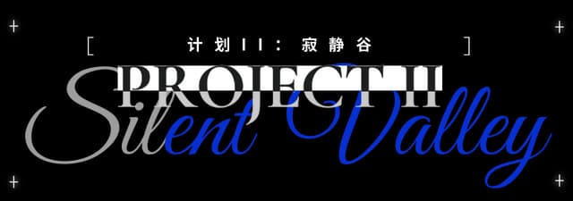 Project II: Glitchy bold serif over sweeping cursive script, gray-to-blue gradient.